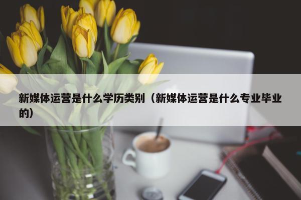 新媒体运营是什么学历类别（新媒体运营是什么专业毕业的）