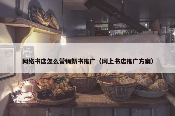 网络书店怎么营销新书推广（网上书店推广方案）