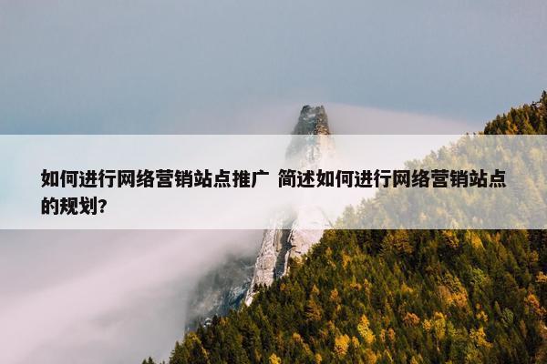 如何进行网络营销站点推广 简述如何进行网络营销站点的规划?