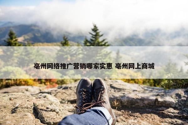 亳州网络推广营销哪家实惠 亳州网上商城