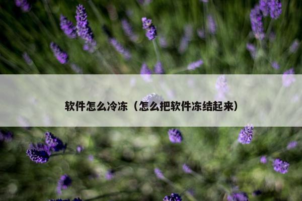 软件怎么冷冻（怎么把软件冻结起来）