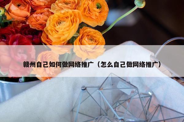 赣州自己如何做网络推广（怎么自己做网络推广）