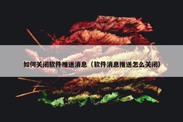 如何关闭软件推送消息（软件消息推送怎么关闭）