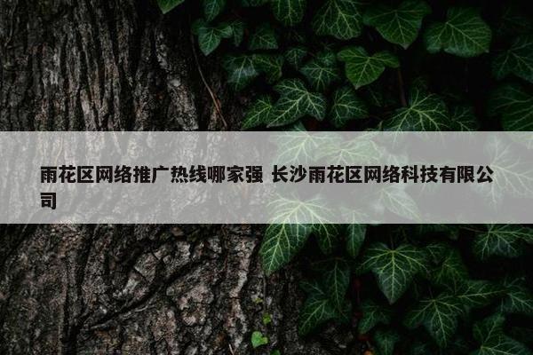 雨花区网络推广热线哪家强 长沙雨花区网络科技有限公司