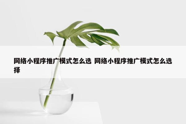 网络小程序推广模式怎么选 网络小程序推广模式怎么选择