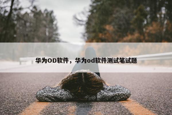 华为OD软件，华为od软件测试笔试题