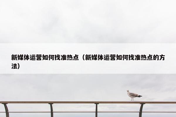 新媒体运营如何找准热点（新媒体运营如何找准热点的方法）