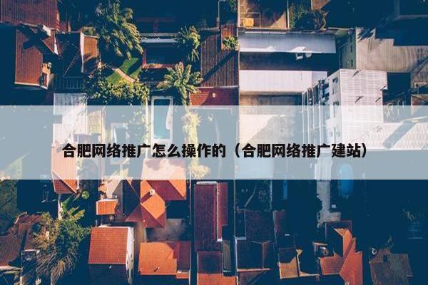 合肥网络推广怎么操作的（合肥网络推广建站）