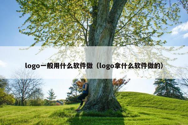 logo一般用什么软件做（logo拿什么软件做的）