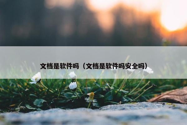 文档是软件吗（文档是软件吗安全吗）