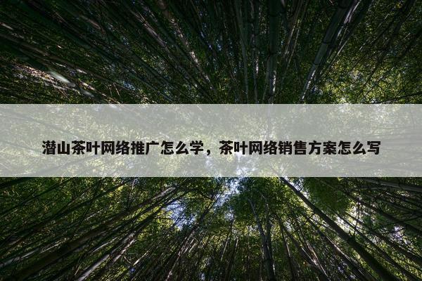 潜山茶叶网络推广怎么学，茶叶网络销售方案怎么写