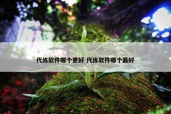 代练软件哪个更好 代练软件哪个最好