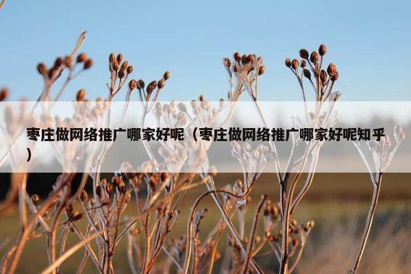 枣庄做网络推广哪家好呢（枣庄做网络推广哪家好呢知乎）