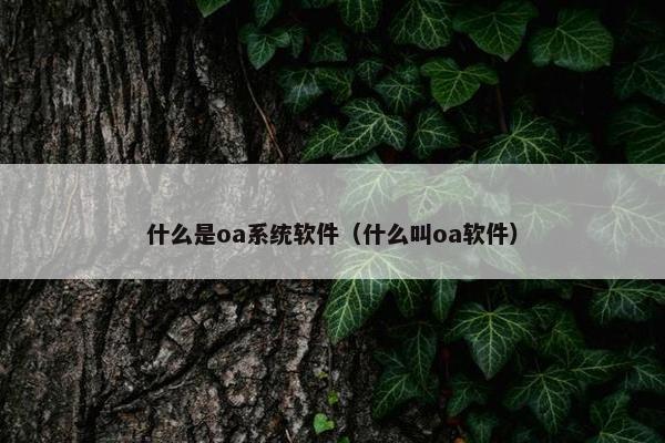 什么是oa系统软件（什么叫oa软件）