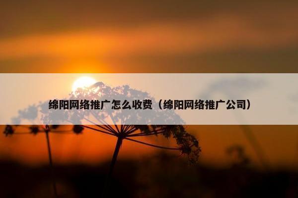 绵阳网络推广怎么收费（绵阳网络推广公司）