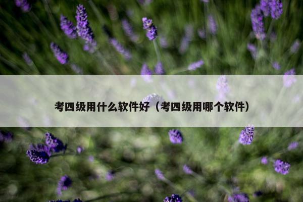 考四级用什么软件好（考四级用哪个软件）