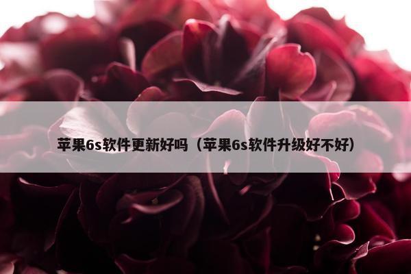 苹果6s软件更新好吗（苹果6s软件升级好不好）