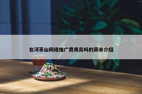 包河茶山网络推广费用高吗的简单介绍