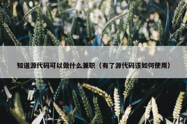 知道源代码可以做什么兼职（有了源代码该如何使用）