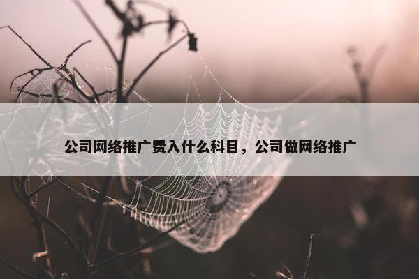 公司网络推广费入什么科目，公司做网络推广