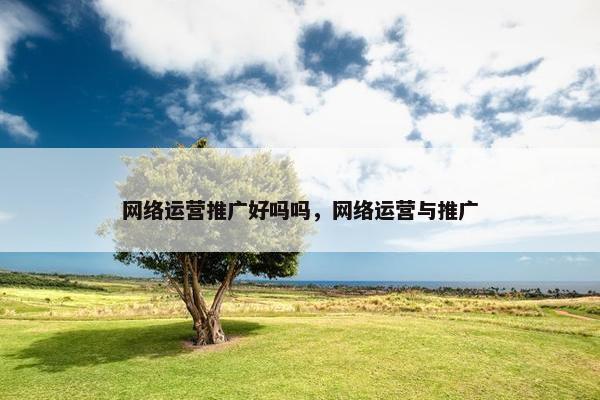 网络运营推广好吗吗，网络运营与推广