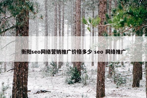 衡阳seo网络营销推广价格多少 seo 网络推广