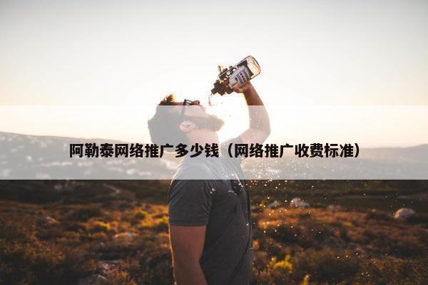 阿勒泰网络推广多少钱（网络推广收费标准）