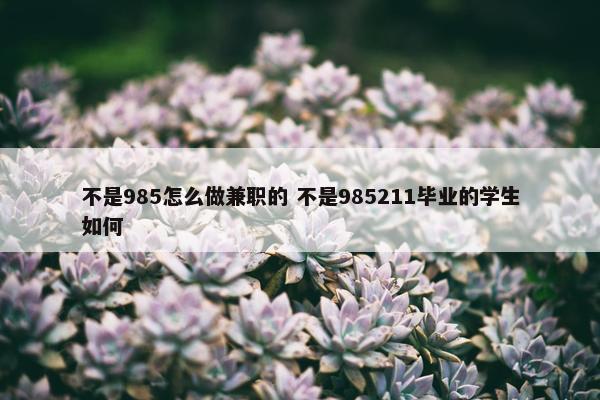 不是985怎么做兼职的 不是985211毕业的学生如何