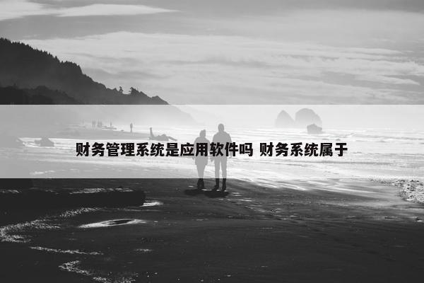 财务管理系统是应用软件吗 财务系统属于