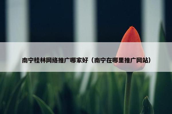 南宁桂林网络推广哪家好（南宁在哪里推广网站）