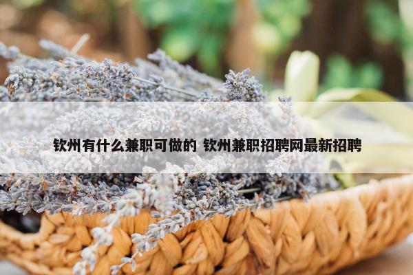 钦州有什么兼职可做的 钦州兼职招聘网最新招聘