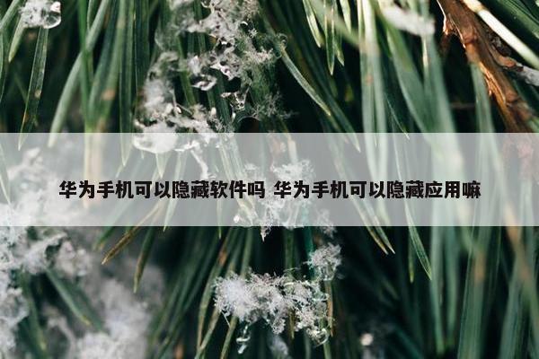 华为手机可以隐藏软件吗 华为手机可以隐藏应用嘛