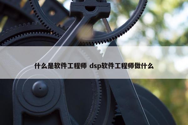 什么是软件工程师 dsp软件工程师做什么