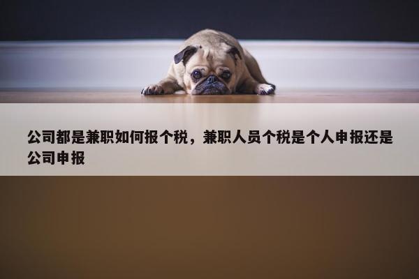 公司都是兼职如何报个税，兼职人员个税是个人申报还是公司申报