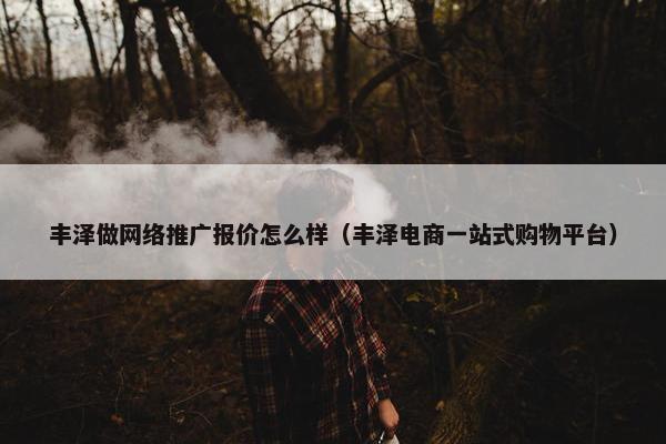 丰泽做网络推广报价怎么样（丰泽电商一站式购物平台）