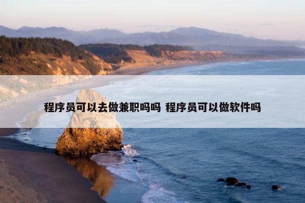 程序员可以去做兼职吗吗 程序员可以做软件吗