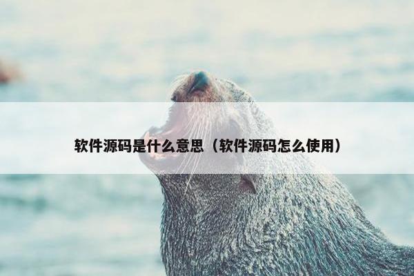 软件源码是什么意思（软件源码怎么使用）