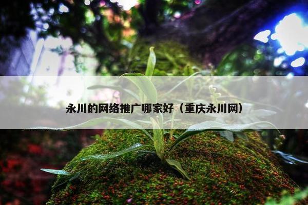 永川的网络推广哪家好（重庆永川网）