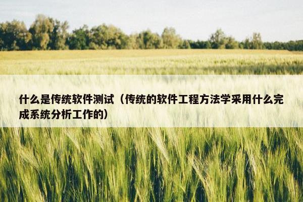 什么是传统软件测试（传统的软件工程方法学采用什么完成系统分析工作的）