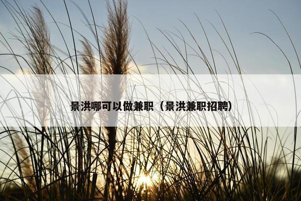 景洪哪可以做兼职（景洪兼职招聘）