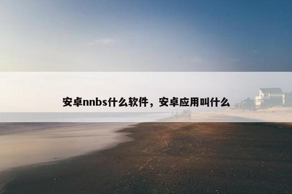 安卓nnbs什么软件，安卓应用叫什么