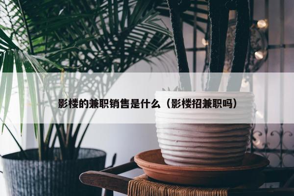 影楼的兼职销售是什么（影楼招兼职吗）