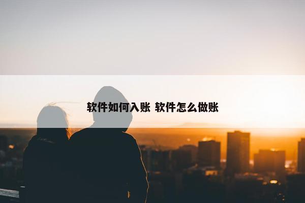 软件如何入账 软件怎么做账