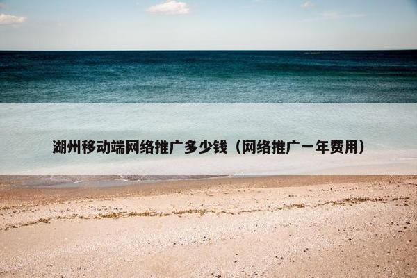 湖州移动端网络推广多少钱（网络推广一年费用）