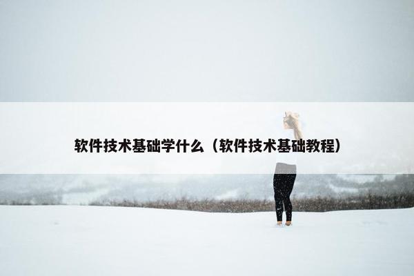 软件技术基础学什么（软件技术基础教程）