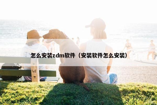 怎么安装zdm软件（安装软件怎么安装）