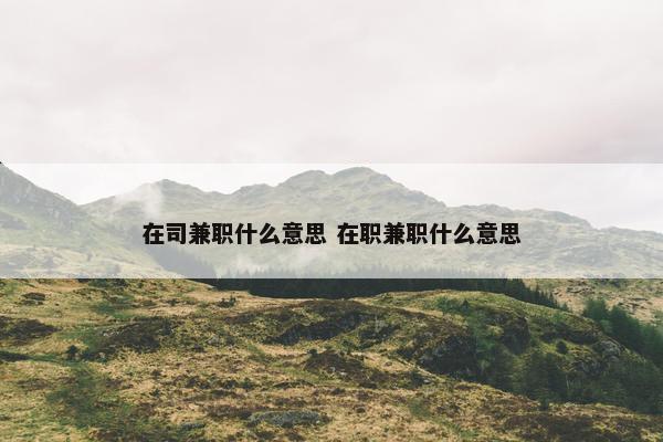 在司兼职什么意思 在职兼职什么意思