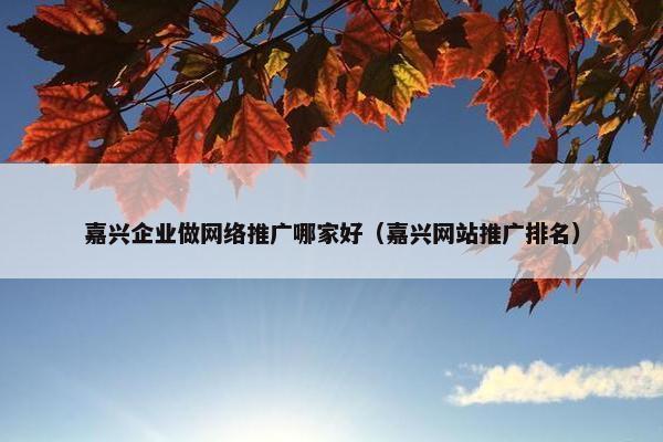 嘉兴企业做网络推广哪家好（嘉兴网站推广排名）