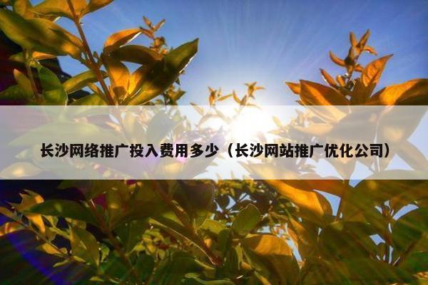 长沙网络推广投入费用多少（长沙网站推广优化公司）