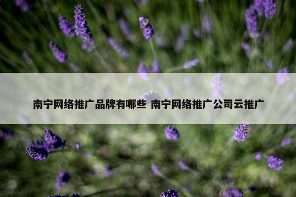 南宁网络推广品牌有哪些 南宁网络推广公司云推广